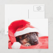 Welpe Postkarte (Vorne/Hinten)