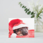 Welpe Postkarte (Stehend Vorderseite)