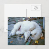Welpe Postkarte (Vorne/Hinten)