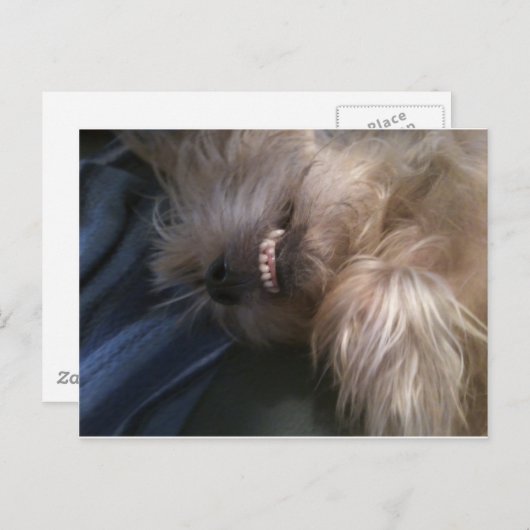 Welpe Postkarte (Vorne/Hinten)