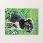 Welpe Puzzle (Horizontal)