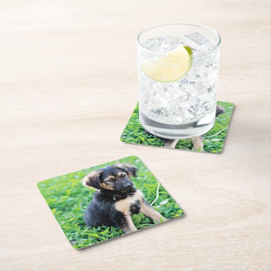 Welpe Rechteckiger Pappuntersetzer (Vor Ort)