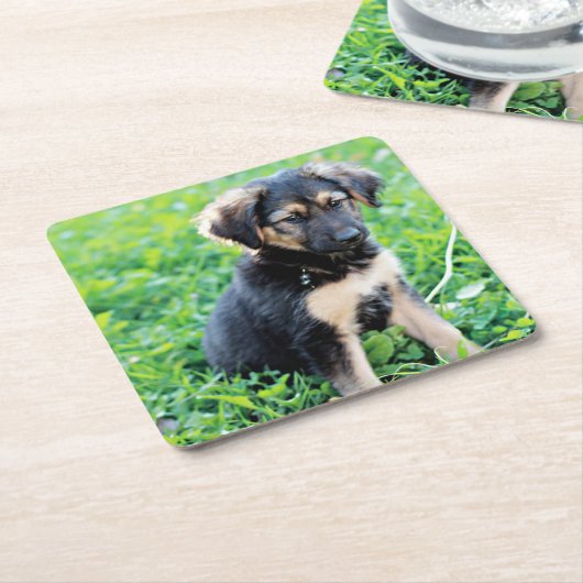 Welpe Rechteckiger Pappuntersetzer (angewinkelt)