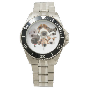 Welpe riecht Armbanduhr