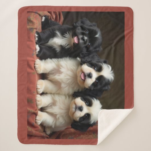 Welpe Sherpadecke (Vorderseite)