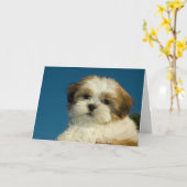 Welpe Shih Tzu ", der an Sie" denkt, kardieren Karte (Gelbe Blume)