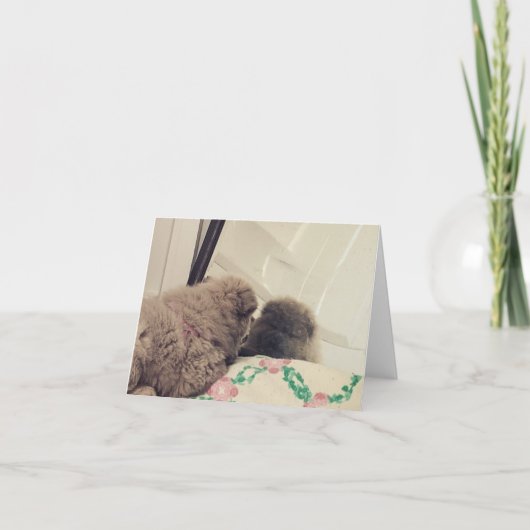 Welpe sieht sich im Spiegel Dankeskarte (Vorderseite)