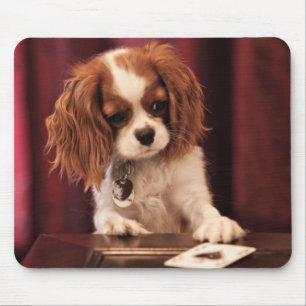 Welpe spielt Karten Mousepad