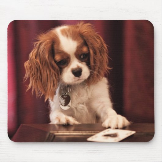 Welpe spielt Karten Mousepad (Vorne)