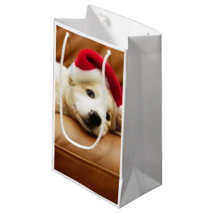 Welpe trägt einen Weihnachtshut und das Lügen au Kleine Geschenktüte
