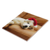 Welpe trägt einen Weihnachtshut und das Lügen auf Fliese (Seite)