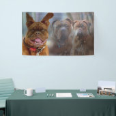 Welpe und Freunde Banner (Messeveranstaltung)