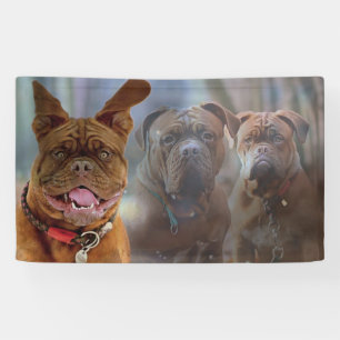 Welpe und Freunde Banner