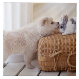 Welpe und Kaninchen Fliese