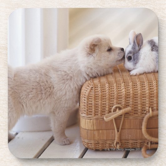 Welpe und Kaninchen Untersetzer (Vorderseite)