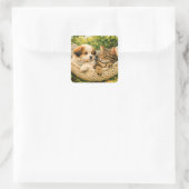 Welpe und Kätzchen, Quadratischer Aufkleber (Tasche)