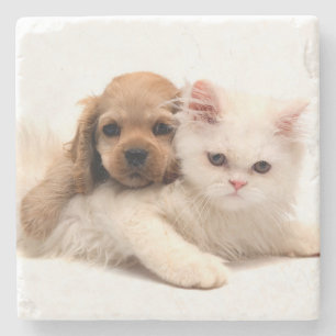 Welpe und Kitten Steinuntersetzer