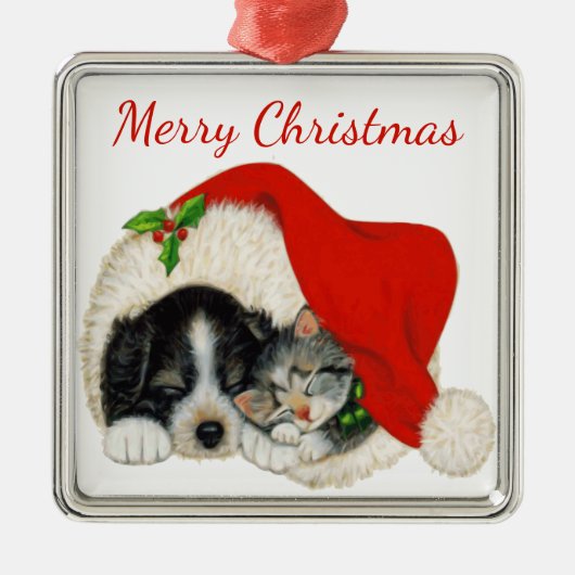 Welpe und Kitten Weihnachtsdekoration Silbernes Ornament (Vorne)