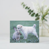 Welpe und Lop Ohrkaninchen auf Rasen Postkarte (Stehend Vorderseite)