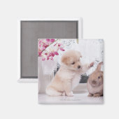 Welpe und Love Ohr Rabbit Magnet (Vorderseite/Rückseite)