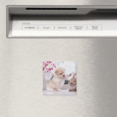 Welpe und Love Ohr Rabbit Magnet (In Situ (Geschirrspüler))