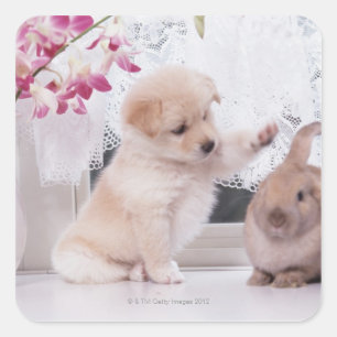 Welpe und Love Ohr Rabbit Quadratischer Aufkleber