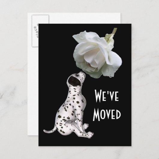 Welpe und Rose Neue Postkarte (Vorne/Hinten)