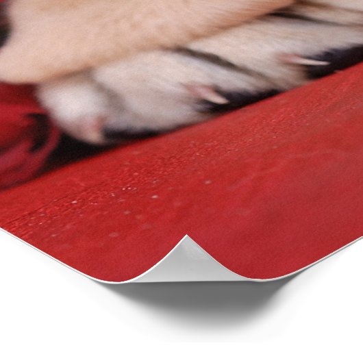 Welpe und Rose Poster (Ecke)