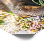 Welpe und wilde Zwiebeln Fotodruck (Ecke)