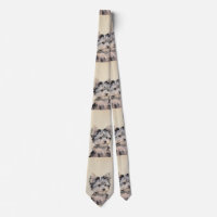 Welpe Yorkshires Terrier, der ursprüngliche