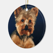 Welpe Yorkshires Terrier Keramik Ornament (Links)
