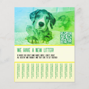 Welpe zu verkaufen Vorlage Flyer