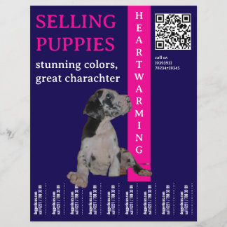 Welpe zum Verkauf Flyer