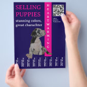 Welpe zum Verkauf Flyer (Hand)