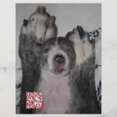 Welpe zum Verkauf Flyer Vorlagen (Hinten)