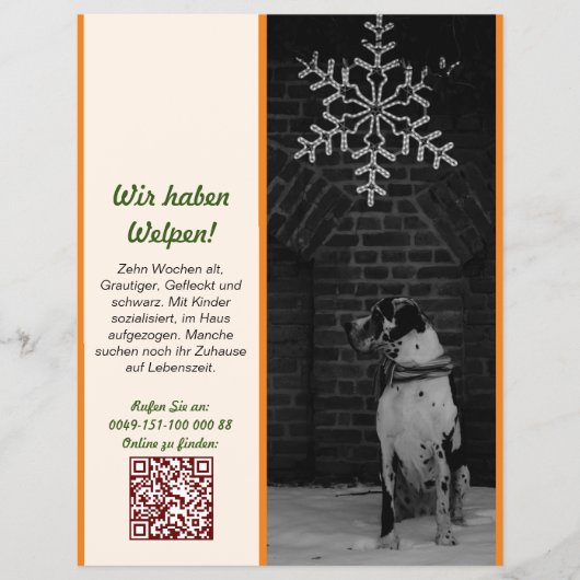 Welpe zum Verkauf Flyer Vorlagen (Vorne)