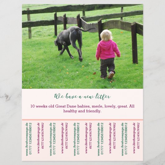 Welpe zum Verkauf Flyer Vorlagen (Vorne)