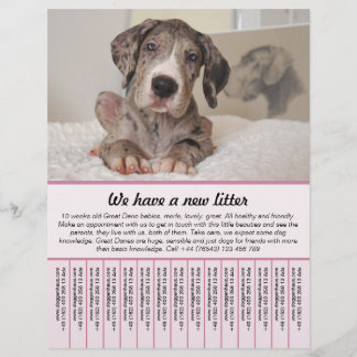 Welpe zum Verkauf Flyer Vorlagen