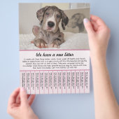 Welpe zum Verkauf Flyer Vorlagen (Hand)
