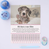 Welpe zum Verkauf Flyer Vorlagen (Einzeln)