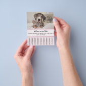 Welpe zum Verkauf Flyer Vorlagen (Gruppe)