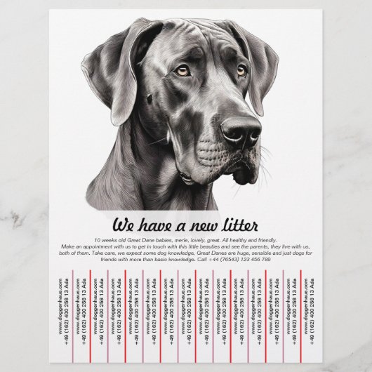 Welpe zum Verkauf Flyer Vorlagen (Vorne)