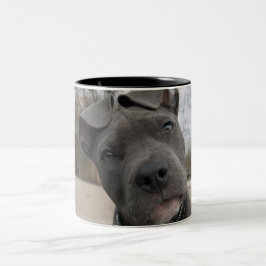 Welpe Zweifarbige Tasse