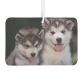 Welpen Air Freshener Autolufterfrischer (Rückseite)