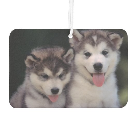 Welpen Air Freshener Autolufterfrischer (Rückseite)