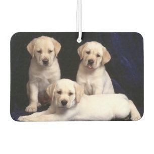 Welpen Air Freshener Autolufterfrischer