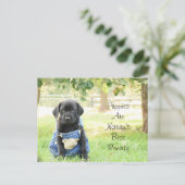 Welpen auf der Postkarte sind die beste Lösung für (Stehend Vorderseite)