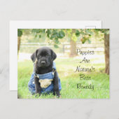 Welpen auf der Postkarte sind die beste Lösung für (Vorne/Hinten)