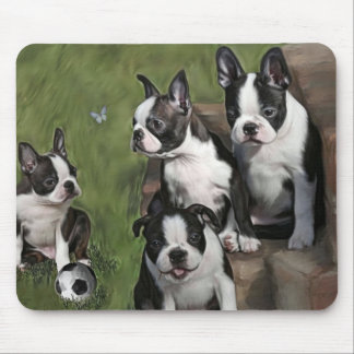 Welpen Bostons Terrier Mousepad
