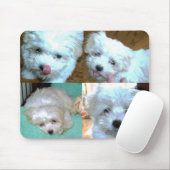 Welpen-Collage Rileys Malti-poo Mousepad (Mit Mouse)